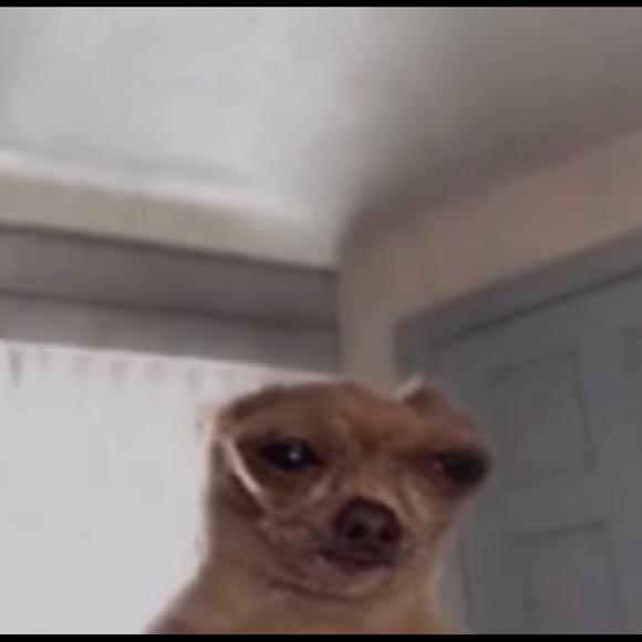 Meet your Posher, Nancy - Picture 1 of 1